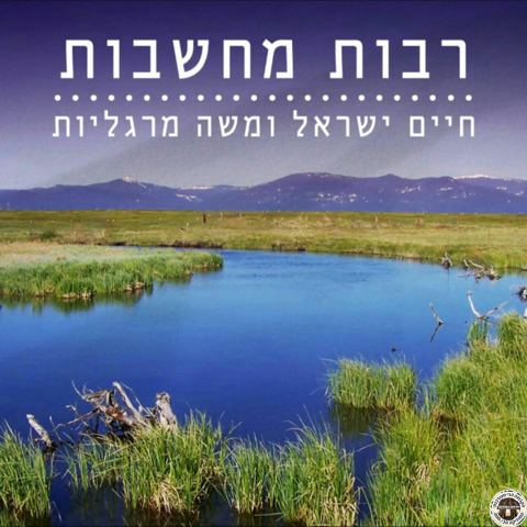 עטיפת האלבום של רבות מחשבות