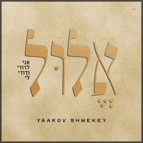 עטיפת האלבום של יעקב שוואקי - אלול