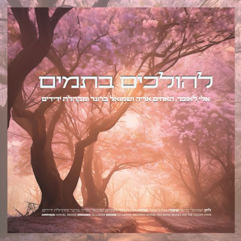 עטיפת האלבום של אלי לאופר, שמואל & אריה ברונר, מקהלת ידידים - להולכים בתמים