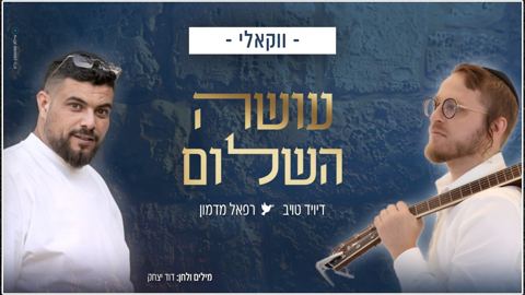 עטיפת האלבום של דייויד טויב & רפאל מדמון - עושה השלום - ווקאלי