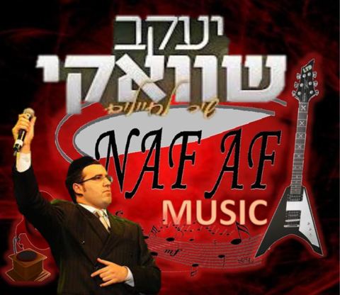 עטיפת האלבום של שיר לחיילים