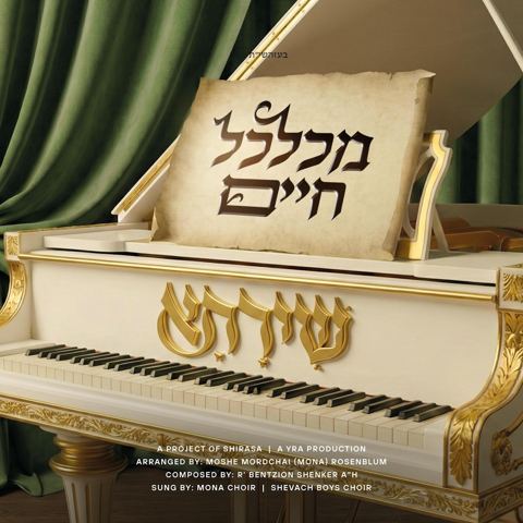 עטיפת האלבום של שירתא - מכלכל חיים