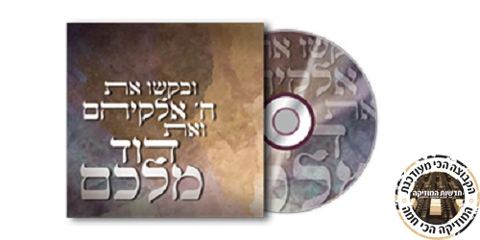 עטיפת האלבום של את דוד מלכם