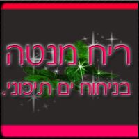 עטיפת האלבום של D1B10000 ישי לפידות  אוהד מושקוביץ  הקינדרלעך ואיציק דדיה - אב