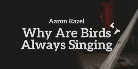 עטיפת האלבום של אהרן רזאל -  Why Are Birds Always Singing