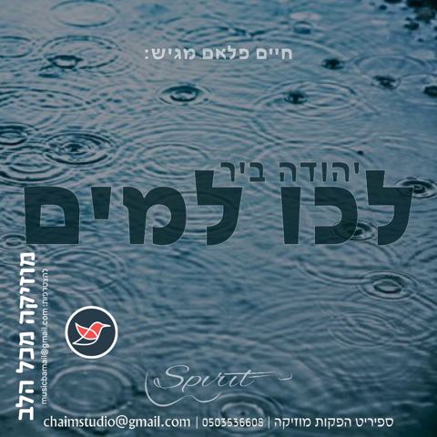 עטיפת האלבום של יהודה ביר בקאבר ליידל ורדיגר ''לכו למים''
