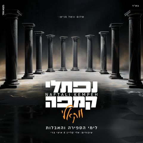 עטיפת האלבום של נפתלי קמפה - ווקאלי - תקציר האלבום