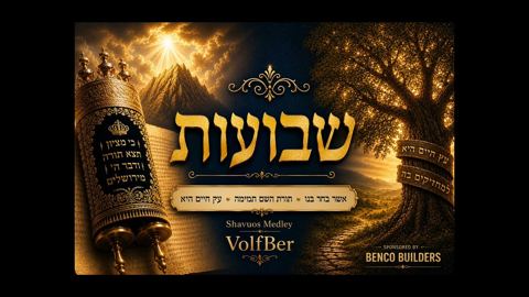 עטיפת האלבום של וואלף בער - מחרוזת שבועות