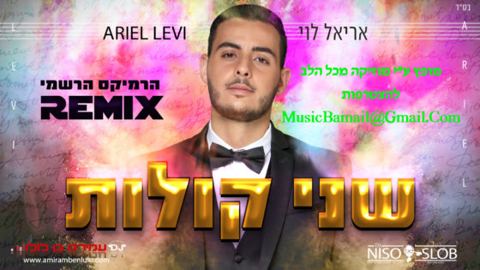 עטיפת האלבום של אריאל לוי בגרסת רמיקס לשיר שני קולות