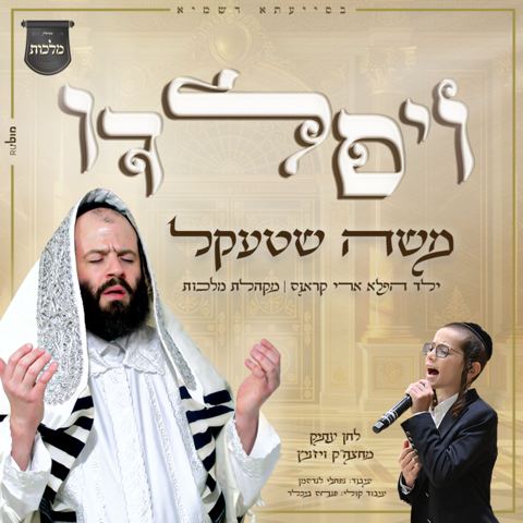 עטיפת האלבום של משה שטעקל - ויסלדו