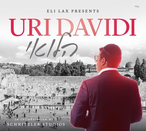 עטיפת האלבום של אורי דוידי - בליבי