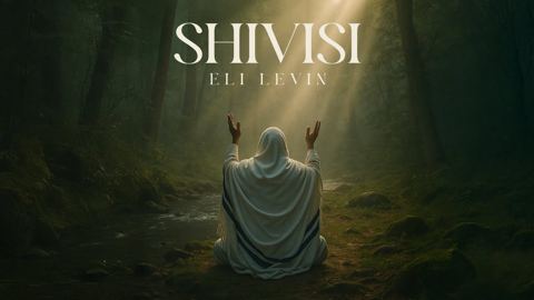 עטיפת האלבום של אלי לוין - שיויתי