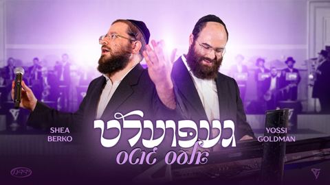 עטיפת האלבום של שייע ברקו & יוסי גולדמן - געפועלט אלעס גוטס