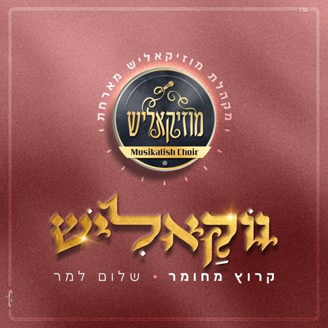 עטיפת האלבום של מקהלת מוזיקאליש & שלום למר - קרוץ מחומר - ווקאלי