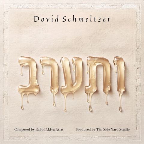 עטיפת האלבום של דוד שמעלצר - ותערב