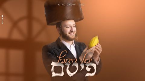עטיפת האלבום של יואלי דוידוביץ - פיטם