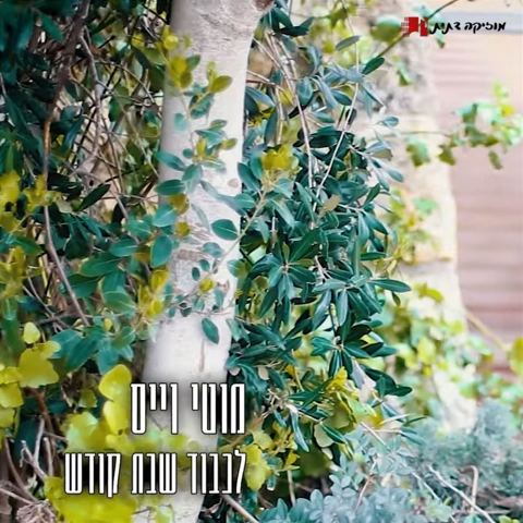 עטיפת האלבום של מוטי וייס - לכבוד שבת קודש