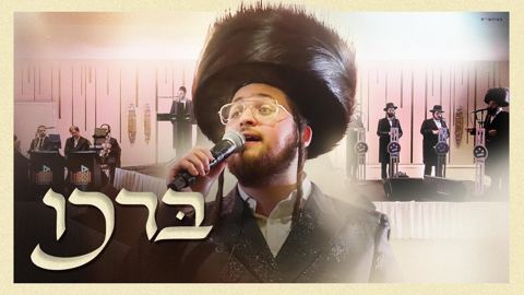 עטיפת האלבום של דוד פעדער - ברכו