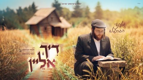 עטיפת האלבום של מענדי הברפלד - דיך אליין