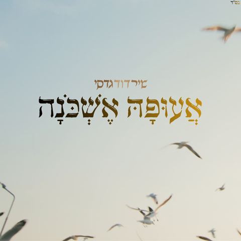 עטיפת האלבום של שיר דוד גדסי - אעופה אשכונה