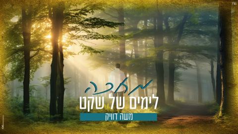 עטיפת האלבום של משה דוויק - מחכה לימים של שקט