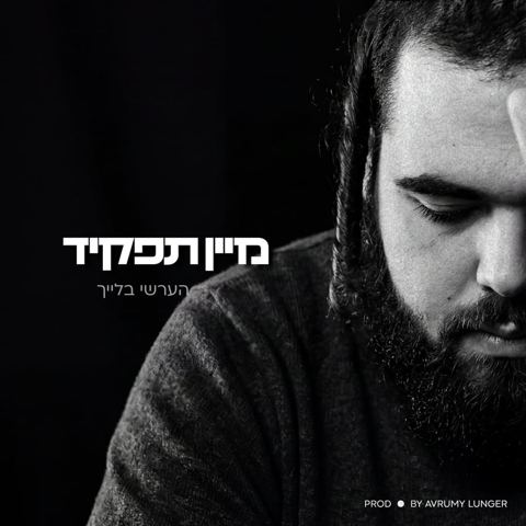 עטיפת האלבום של הערשי בלייך - מיין תפקיד