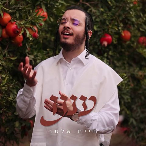 עטיפת האלבום של חיים אלטר - עננו