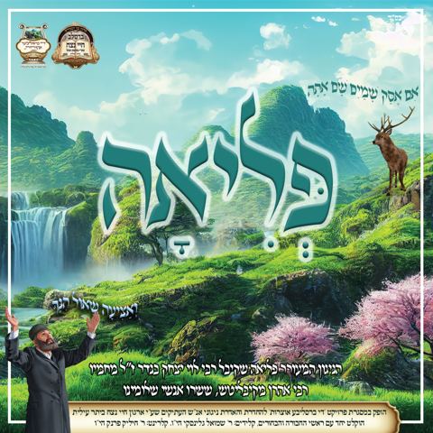 עטיפת האלבום של ברסלב - פליאה