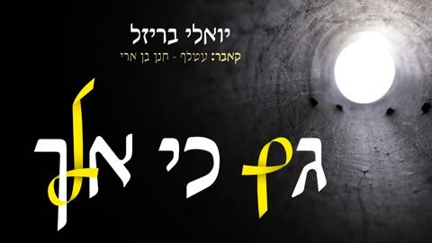 עטיפת האלבום של יואלי בריזל - גם כי אלך (קאבר עטלף עיוור)