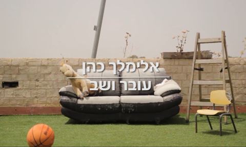 עטיפת האלבום של עובר ושב