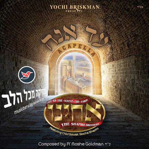 עטיפת האלבום של האחים שפירא בביצוע ווקאלי לשיר של פינקי וועבר ''עד אנה''