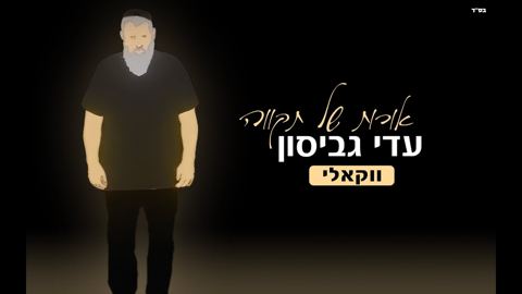 עטיפת האלבום של עדי גביסון - אורות של תקווה - ווקאלי