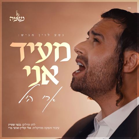 עטיפת האלבום של ארי היל - מעיד אני