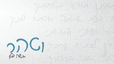 עטיפת האלבום של משה פלד - וטהר