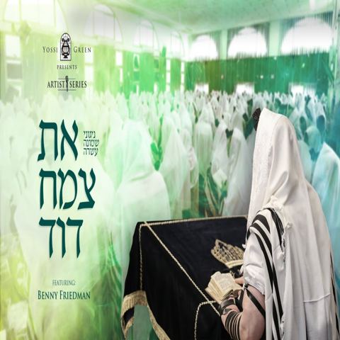 עטיפת האלבום של את צמח דוד