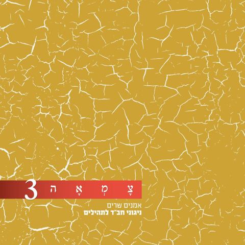 עטיפת האלבום של 11 ימין ה' - ישי ריבו