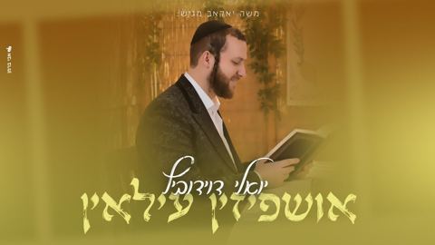 עטיפת האלבום של יואלי דוידוביץ - אושפיזין עילאין