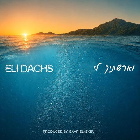 עטיפת האלבום של אלי דקס - וארשתיך לי