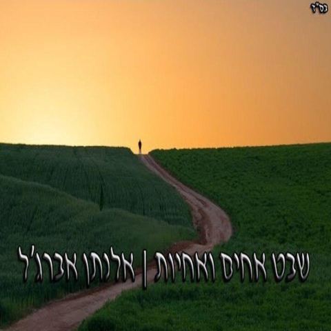 עטיפת האלבום של כאן זה בית