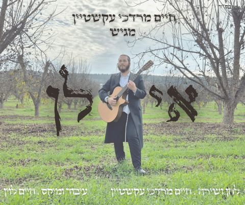 עטיפת האלבום של חיים מרדכי עקשטיין  - אילן