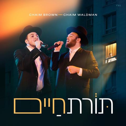 עטיפת האלבום של חיים ברוין & חיים וואלדמאן - תורת חיים