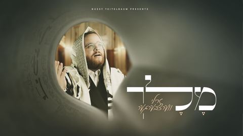 עטיפת האלבום של זרילי ווערצבערגער - מלך