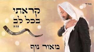 עטיפת האלבום של קראתי בכל לב