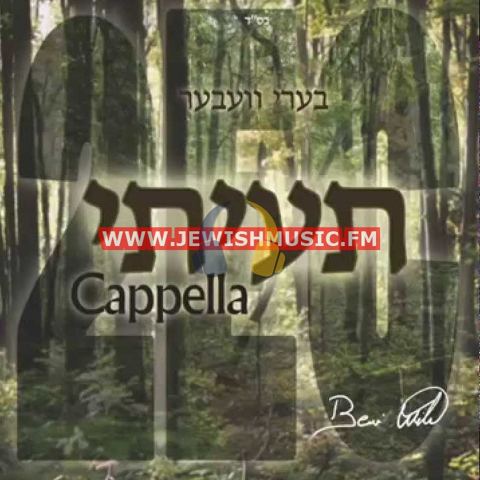 עטיפת האלבום של ברי וועבר - תעיתי - אקאפלה