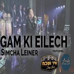 עטיפת האלבום של גם כי אלך