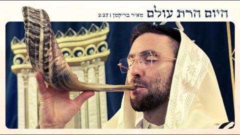 עטיפת האלבום של מאיר בריקמן - היום הרת עולם