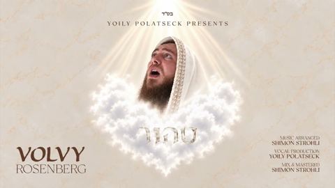 עטיפת האלבום של וואלווי ראזנבערג - לב טהור