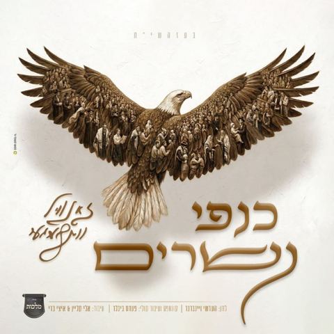 עטיפת האלבום של זאנוויל ויינברגר - כנפי נשרים