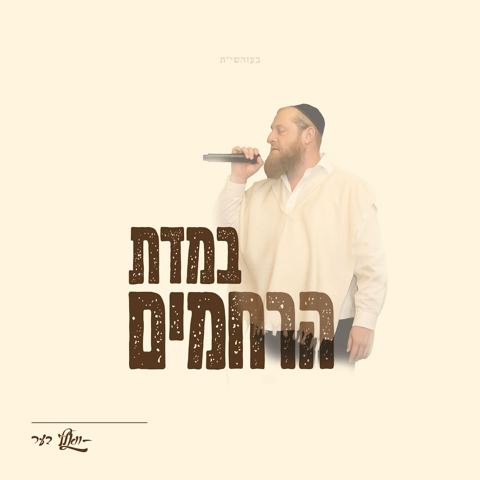 עטיפת האלבום של וואלף בער - במדת הרחמים