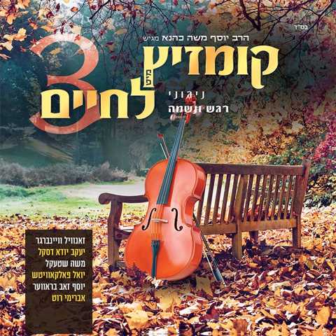 עטיפת האלבום של לחיים קומזיץ 3 דוגמא